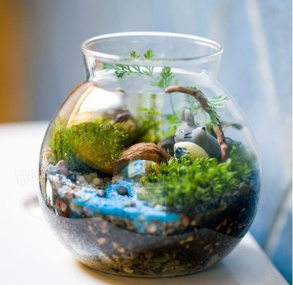 Vas Terrarium Jarrarium Moss Succulent Tanaman Micro Vas Terrarium Jarrarium Moss Succulent Tanaman Micro